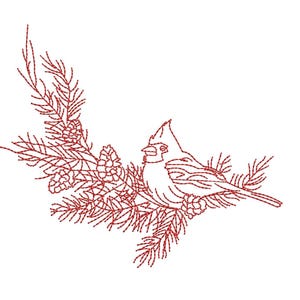 Op de afbeelding: Rode omtrekillustratie van een kardinaal die op een dennentak met dennenappels zit, tegen een witte achtergrond. De vogel kijkt naar rechts, met gedetailleerde lijnen die zijn veren laten zien. Het ontwerp roept natuur en wilde dieren op.