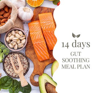 14-Day Gut-Soothing Meal Plan PDF | Heal Gastritis Naturally | Digital Wellness Guide
