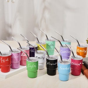 Personalized Mini Tumbler, Bridesmaid Gift, Mini Shot Cup, Personalized Party Tumbler, Wedding Gift,Bachelorette Party Girls Trip Group Gift