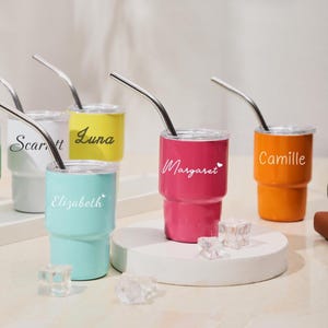 Custom Mini Tumbler with Name, Personalized Tumbler with Straw and Lid, Bridesmaids Gifts, Wedding Party Favors, Bachelorette Party Gift