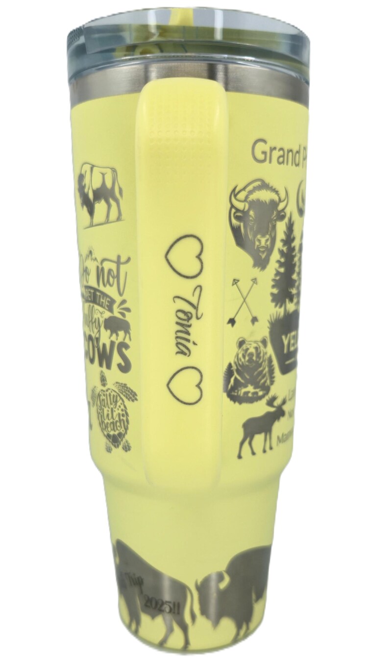Black Chroma Stanley 30 oz Quencher | Skull & Butterflies Engraved Stanley Tumbler | Gothic Full Wrap | image 11