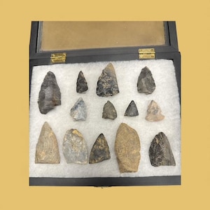 May include: A collection of various antique arrowheads displayed in a black wooden box with a glass lid. The arrowheads are in shades of gray, brown, and tan, and are arranged on a white fabric background.