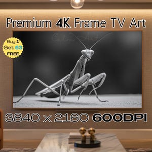 Puede incluir: Imagen en blanco y negro de una mantis religiosa en una pantalla de televisión. El televisor está etiquetado como "Premium 4K Frame TV Art" con el texto "Calm Art". La resolución de la imagen es 3840 x 2160 600DPI. Hay una pegatina "Buy 1 Get 63 FREE".