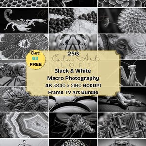 May include: A collection of black and white macro photographs. The images include a scorpion, a flower, a water droplet, and other detailed close-ups. The text on the image reads "Calm Art LOFT Black & White Macro Photography 4K 3840 x 2160 600DPI Frame TV Art Bundle."
