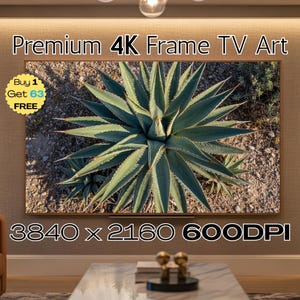 May include: A large, rectangular 4K Frame TV Art piece featuring a close-up of a green agave plant with sharp, pointed leaves. The image is set against a brown background. The text "Premium 4K Frame TV Art" and "3840 x 2160 600DPI" are displayed.