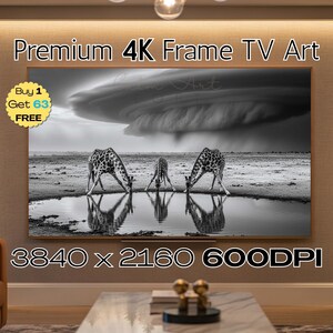 Könnte beinhalten: Schwarz-Weiß-Bild von Giraffen, die an einem Wasserloch unter einem dramatischen Himmel trinken. Das Bild wird auf einem großen Bildschirm mit dem Text "Premium 4K Frame TV Art" angezeigt. Die Auflösung beträgt 3840 x 2160 600DPI.