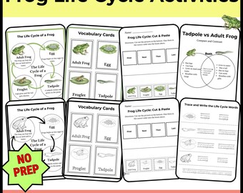 Cycle de vie des grenouilles à imprimer | Activités et feuilles de travail sur le cycle de vie d'une grenouille | Sciences du printemps | Mise en séquence et pages à colorier