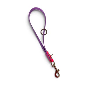May include: A purple dog leash featuring a smooth, flexible strap with a bright neon pink accent near the base. The leash includes a silver-toned metal O-ring positioned along the strap and a sturdy silver-toned metal swivel snap hook at the end.