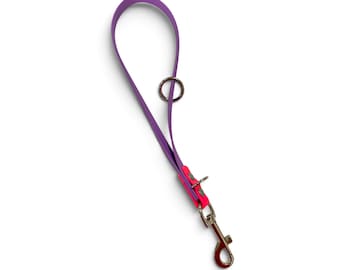 May include: A purple dog leash featuring a smooth, flexible strap with a bright neon pink accent near the base. The leash includes a silver-toned metal O-ring positioned along the strap and a sturdy silver-toned metal swivel snap hook at the end.