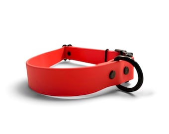 BioThane Dog Collar 1 Inch | Custom Adjustable Single-Layer Collar