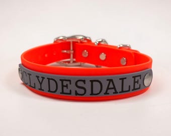 Personalized Dog Collar With Nameplate | Waterproof BioThane