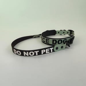 Puede incluir: Un conjunto de collar y correa para perro en negro y verde claro. La correa negra presenta el texto blanco DO NOT PET. El collar verde claro presenta el texto negro NICE DOG. Ambos art&iacute;culos incluyen herrajes y hebillas de metal negro.