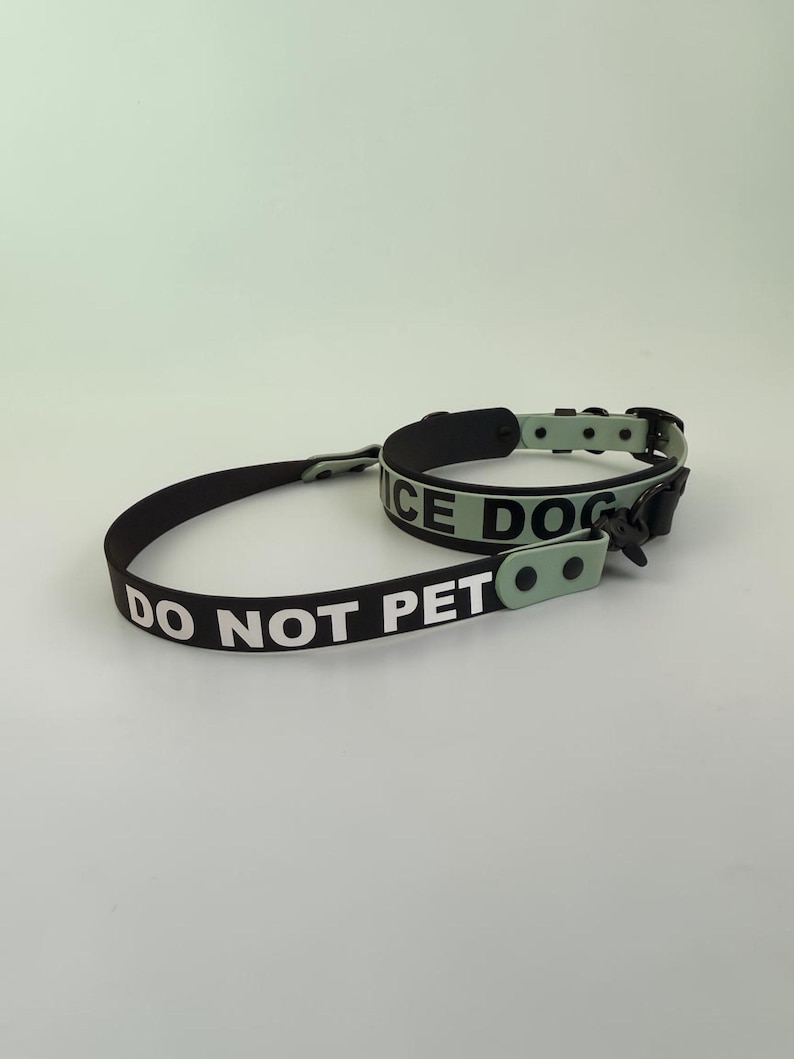 Puede incluir: Un conjunto de collar y correa para perro en negro y verde claro. La correa negra presenta el texto blanco DO NOT PET. El collar verde claro presenta el texto negro NICE DOG. Ambos art&iacute;culos incluyen herrajes y hebillas de metal negro.
