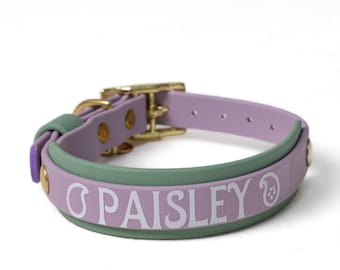 Collar para perro BioThane de 1 pulgada / Collar ajustable de dos capas personalizado