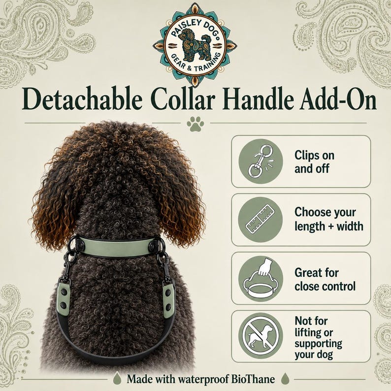 Puede incluir: Un asa de collar desmontable de color verde salvia hecha de BioThane impermeable, unida a un collar de perro. El gr&aacute;fico incluye el texto Paisley Dog Gear & Training, Detachable Collar Handle Add-On e iconos que ilustran clips, tallas, control y advertencias de seguridad.
