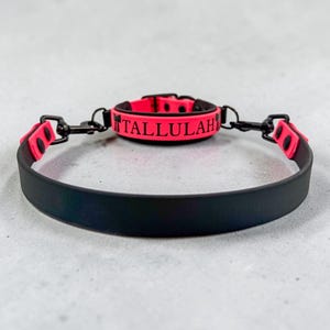 Puede incluir: Un collar negro con una correa de acento rosa ne&oacute;n que presenta el nombre TALLULAH en letras negras. El collar incluye herrajes de metal negro, incluidos dos clips giratorios en los lados y un cierre de hebilla, creando un dise&ntilde;o funcional.