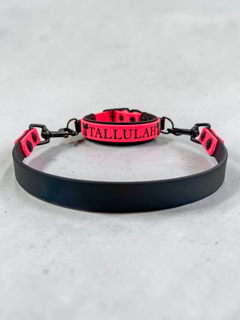 Puede incluir: Un collar negro con una correa de acento rosa ne&oacute;n que presenta el nombre TALLULAH en letras negras. El collar incluye herrajes de metal negro, incluidos dos clips giratorios en los lados y un cierre de hebilla, creando un dise&ntilde;o funcional.