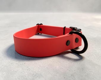 Aangepaste hondenhalsband (1 inch) | Waterdichte verstelbare kraag