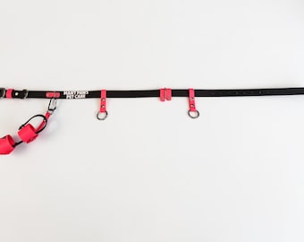 Reinforced BioThane Dog Walking Belt | Hands-Free Training Gear