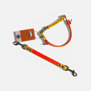 Puede incluir: Un collar y correa para mascota en colores naranja y amarillo brillante, con herrajes de metal plateado que incluyen ganchos giratorios y una hebilla. Una etiqueta rectangular naranja con el texto BIOTHANE est&aacute; sujeta al collar.