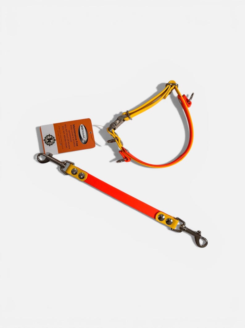 Puede incluir: Un collar y correa para mascota en colores naranja y amarillo brillante, con herrajes de metal plateado que incluyen ganchos giratorios y una hebilla. Una etiqueta rectangular naranja con el texto BIOTHANE est&aacute; sujeta al collar.