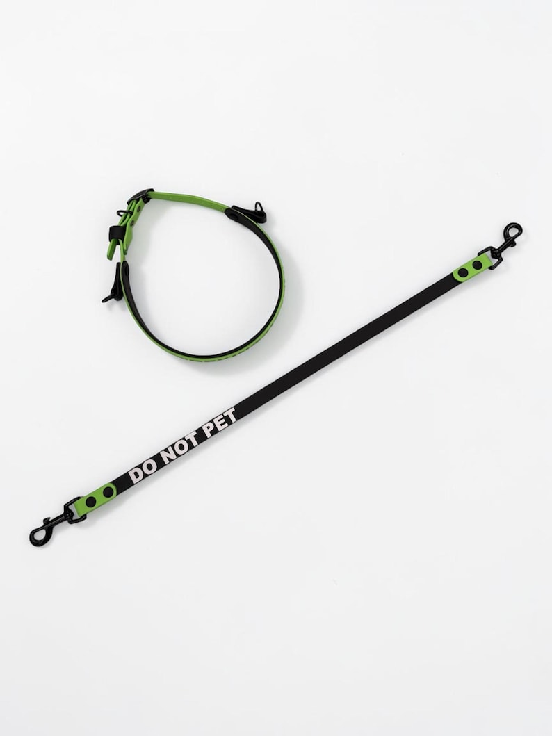 Puede incluir: Un collar y una correa para mascota en color negro y verde lima. La correa presenta el texto DO NOT PET en blanco impreso a lo largo de su extensi&oacute;n. Ambos art&iacute;culos incluyen herrajes de metal negro, con clips y hebillas, y detalles en verde lima.
