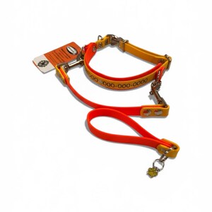 Puede incluir: Un conjunto de collar y correa para mascota en color naranja y amarillo brillante con herrajes de metal plateado, incluyendo hebilla y mosquetones. El collar muestra el texto impreso 000-000-0000 y un dije de huella en la correa.