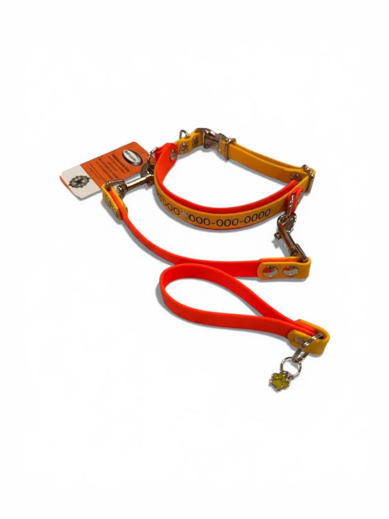 Puede incluir: Un conjunto de collar y correa para mascota en color naranja y amarillo brillante con herrajes de metal plateado, incluyendo hebilla y mosquetones. El collar muestra el texto impreso 000-000-0000 y un dije de huella en la correa.
