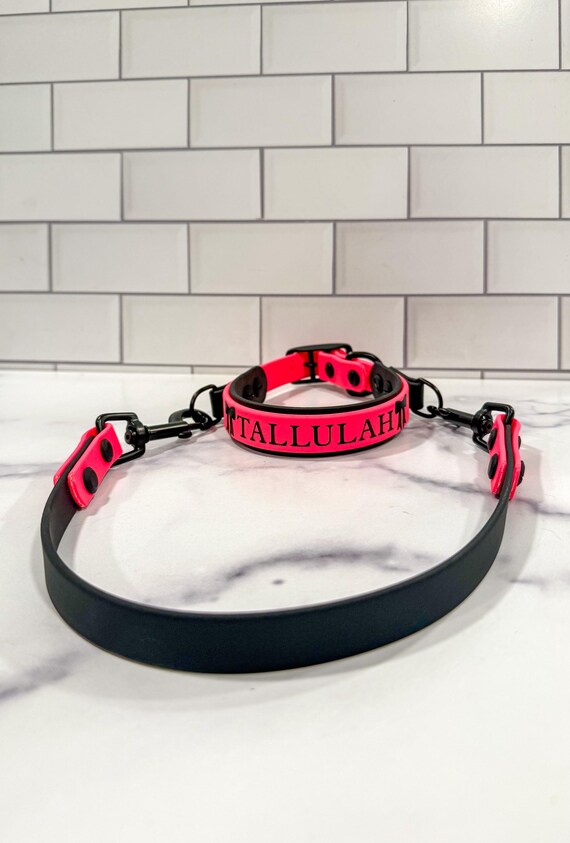 ADD ON – Collar Handle For BioThane Collars