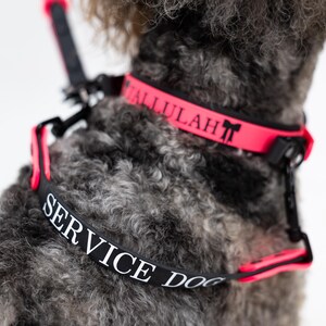 Puede incluir: Un conjunto de arn&eacute;s y collar para perro en color negro y rosa ne&oacute;n que presenta el texto SERVICE DOG en letras blancas en la correa del arn&eacute;s y el nombre TALLULAH con un peque&ntilde;o icono de lazo en letras negras en el collar rosa ne&oacute;n.