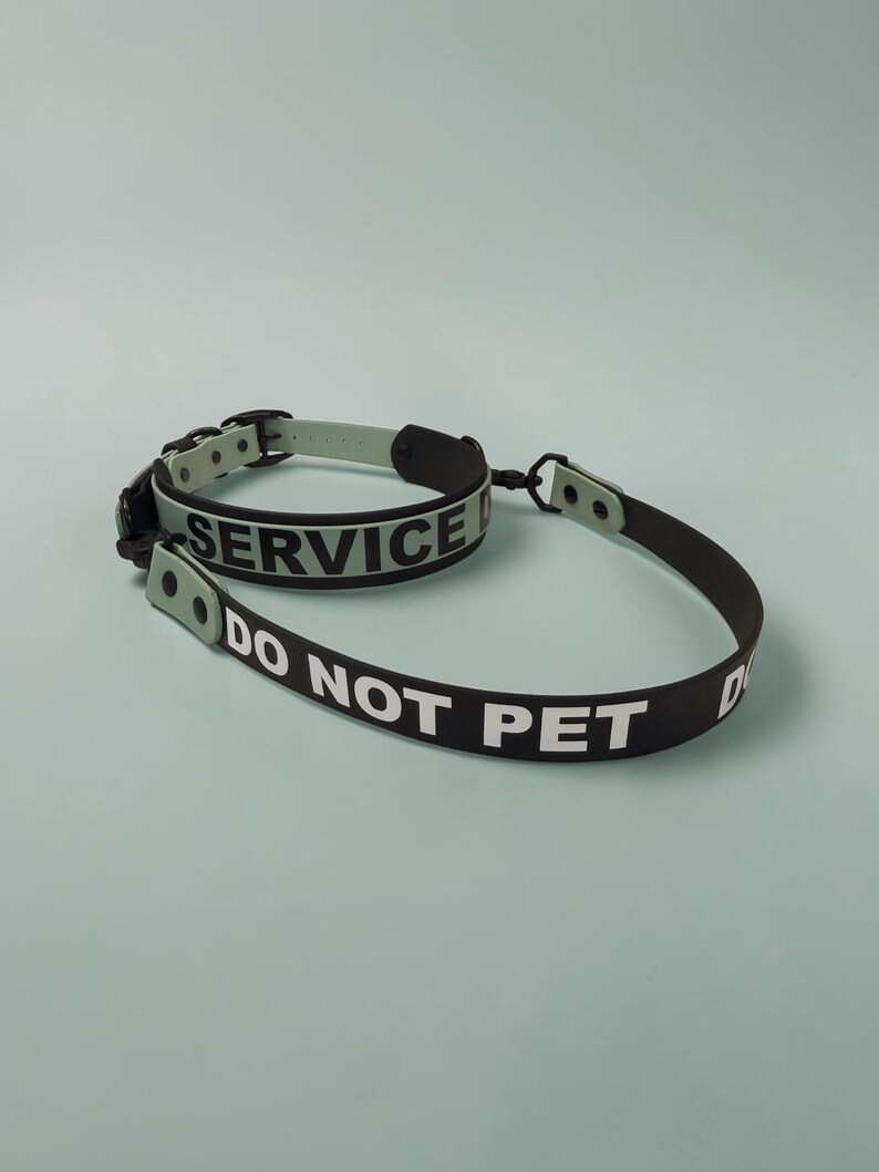 Puede incluir: Un conjunto de collar y correa en color verde salvia y negro con el texto SERVICE DOG DO NOT PET en letras blancas en negrita. El collar tiene una hebilla y herrajes negros, mientras que la correa es una cinta negra a juego con texto blanco.