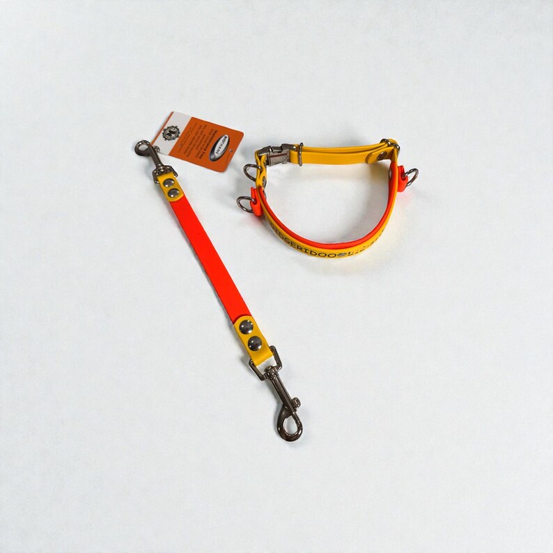 Puede incluir: Un conjunto de collar y correa corta para mascota en colores naranja brillante y amarillo, con herrajes met&aacute;licos plateados, remaches y una etiqueta rectangular. El collar muestra el texto DOGGERIDOO en letras negras.