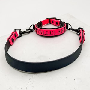 Puede incluir: Un conjunto de collar y correa en negro y rosa ne&oacute;n con herrajes negros. El collar es rosa ne&oacute;n con bordes negros y el nombre TALLULAH impreso en negro. La correa es una cinta negra s&oacute;lida con detalles en rosa ne&oacute;n y clips de metal negro.