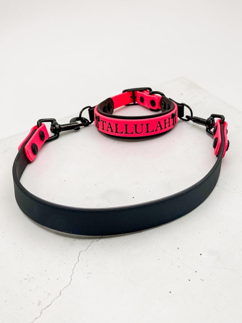 Puede incluir: Un conjunto de collar y correa en negro y rosa ne&oacute;n con herrajes negros. El collar es rosa ne&oacute;n con bordes negros y el nombre TALLULAH impreso en negro. La correa es una cinta negra s&oacute;lida con detalles en rosa ne&oacute;n y clips de metal negro.