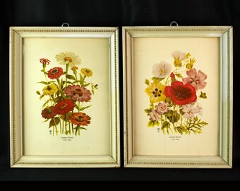 Vintage Botanicals Florals Flowers Two Prints Art Illustration HBS Loudon Florals 1783-1843