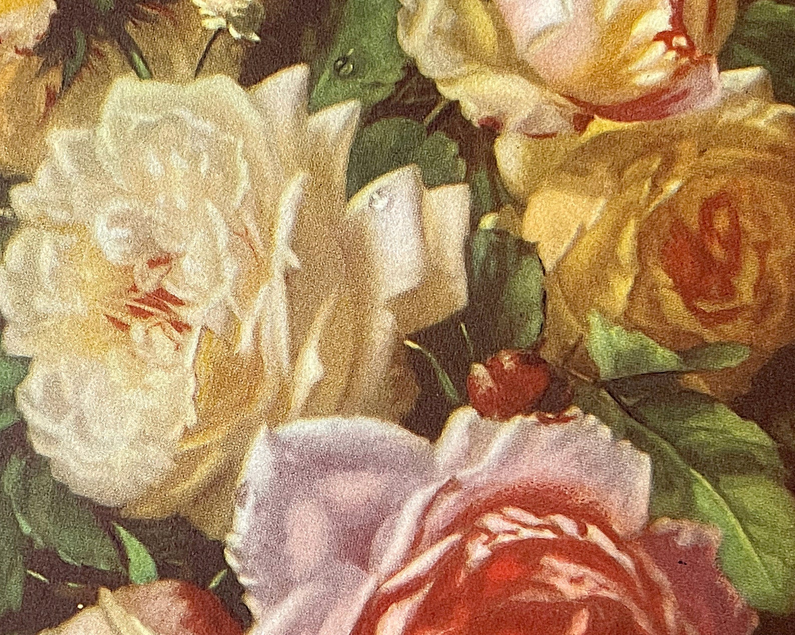 Vintage Art Print Paper Ephemera Floral Flowers Bouquet Still Etsy