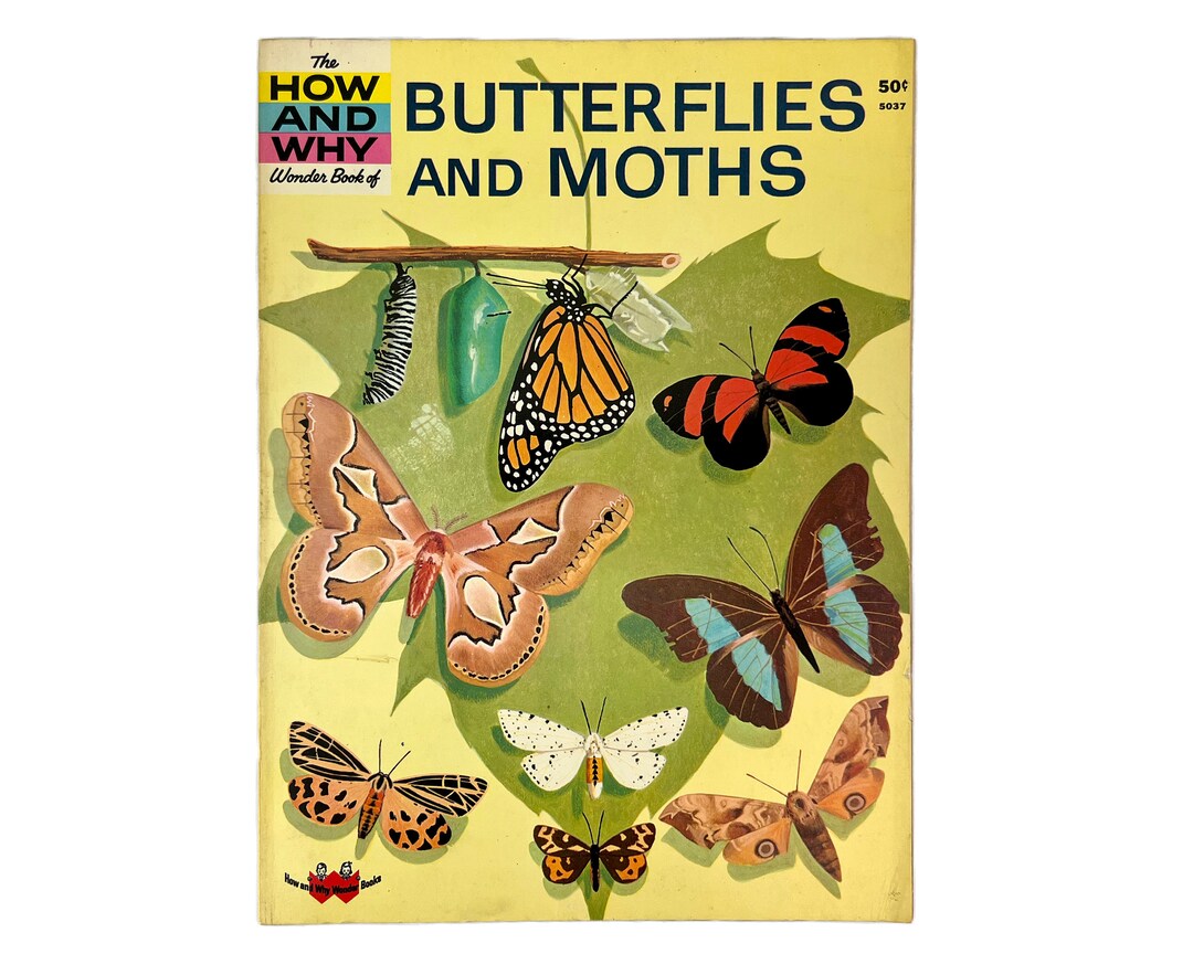 The How and Why BUTTERFLIES AND MOTH 1963 Wonder Book Booklet Soft