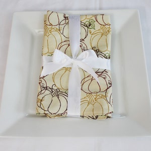Fall Pumpkins Cloth Napkins - Double Sided, Thick and Large - set of 2 - ready to ship