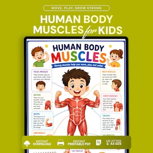以下が含まれることがあります： 子供向けの筋肉の仕組みを解説した教育用ポスター。中央に子供の筋肉系のイラストが描かれ、顔、首、三角筋、上腕二頭筋、胸筋、腹筋、上腕三頭筋の各部位がラベル付きの図解で説明されています。タイトルはHuman Body Muscles for Kidsです。