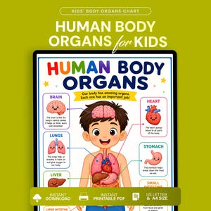 Może przedstawiać: Edukacyjna plansza zatytułowana HUMAN BODY ORGANS FOR KIDS z centralną ilustracją dziecka oraz liniami wskazującymi na podpisane narządy, takie jak mózg, serce, płuca, żołądek i wątroba, wraz z krótkimi opisami tekstowymi.