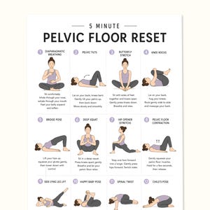 May include: A 5 Minute Pelvic Floor Reset instructional chart featuring twelve numbered illustrations of exercises. Each section includes a title and descriptive text for movements like diaphragmatic breathing, pelvic tilts, and various yoga-style poses.