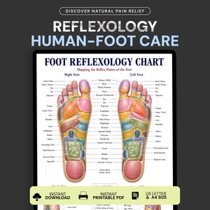 Fußreflexzonenmassage-Poster, Karte der Fußdruckpunkte, Leitfaden zur Reflexzonenanatomie, Massage-Therapie-Vorlage zum Ausdrucken, Wellness-Diagramm