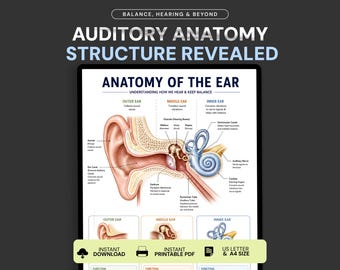 Poster sull'anatomia dell'orecchio, schema anatomico dell'orecchio umano, diagramma dell'orecchio esterno, medio e interno, coclea e timpano, guida per la formazione medica.