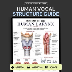 May include: An educational chart titled Human Vocal Structure Guide and Anatomy of the Human Larynx. It features detailed anatomical illustrations of the larynx in anterior and sagittal views, labeled parts, and diagrams of vocal fold positions.