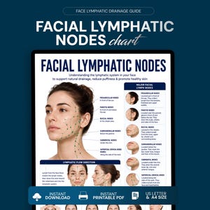 Facial Lymphatic Nodes Chart, Face Lymphatic Drainage Guide, Facial Lymph Flow Map, Face Massage Poster, Skincare Anatomy PDF