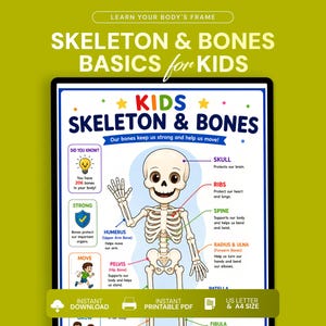 Może przedstawiać: Plakat edukacyjny zatytułowany SKELETON & BONES BASICS FOR KIDS przedstawiający szkielet z kreskówki z opisanymi częściami, takimi jak czaszka, żebra, kręgosłup, kość ramienna i miednica, wraz z ciekawostkami i kolorowymi ikonami.