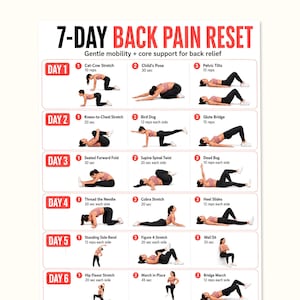 May include: A white instructional poster titled 7-DAY BACK PAIN RESET featuring a grid of exercise illustrations. Each row represents a day with three numbered movements, showing a person in athletic wear performing various stretches and poses.