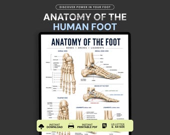 Understanding the Foot and Ankle Medical Educational Informational