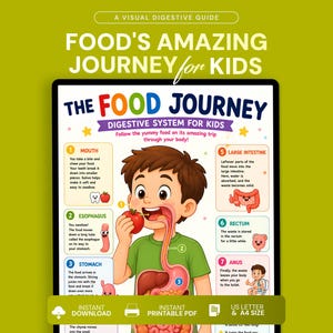 以下が含まれることがあります： 「The Food Journey Digestive System for Kids」と題された教育用ポスター。リンゴを食べる子供の漫画イラストと、口、食道、胃、大腸、直腸、肛門を説明する番号付きの図が描かれています。