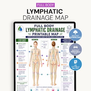 Full Body Lymphatic Drainage Map Printable PDF, Lymph Flow Massage Guide, Lymphatic System Chart, Wellness Poster, A4 & US Letter